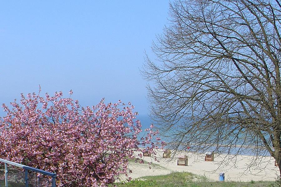 Villa Hansa Am Meer Timmendorfer Strand Εξωτερικό φωτογραφία